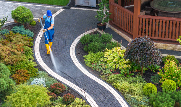 Best Best Pressure Washing Companies  in Alachua, FL