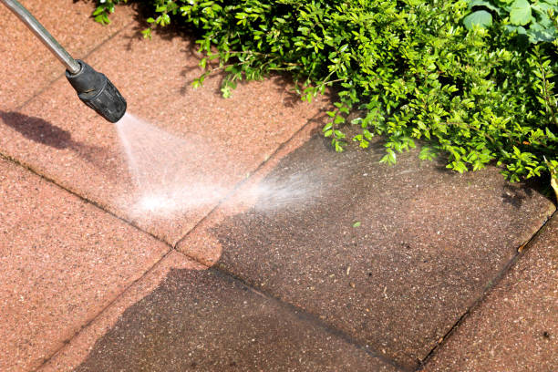 Best Residential Pressure Washing Services  in Alachua, FL